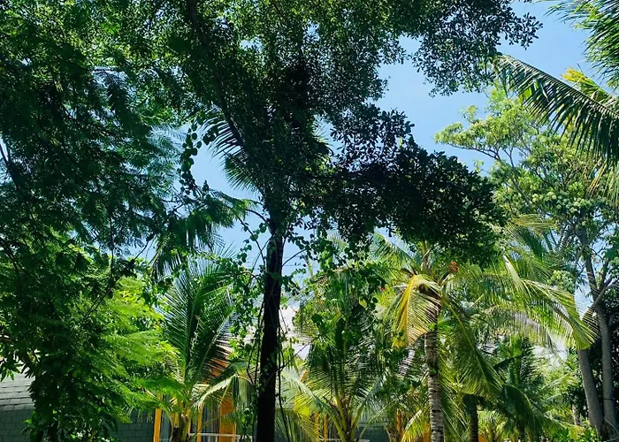 Khách sạn The Vista
